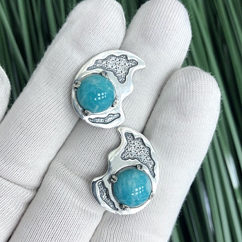 Серебряные серьги Вечер