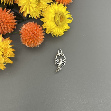 Серебряный кулон Скорпион