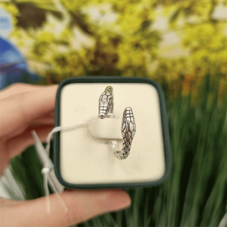 Серебряное кольцо Амфисбена