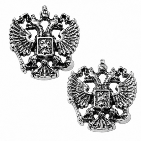 Серебряный значок Герб